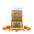 Storcator automat de citrice,18-25 buc/min